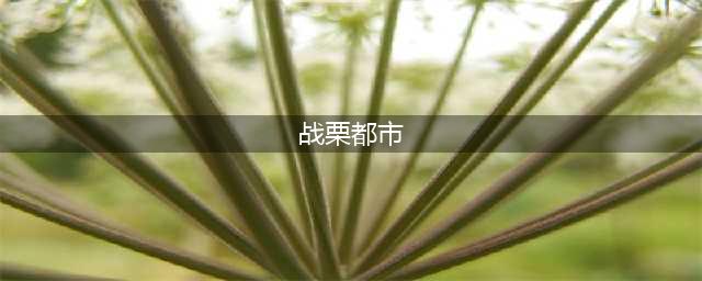 《刺激战场国际服》AKM战栗都市皮肤怎么获得 战栗都市获取攻略(战栗都市)