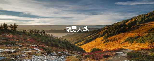 布朗尼伤缺，勇士大胜湖人！17号秀13中3疯狂打铁 汤普森再度爆发(湖勇大战)