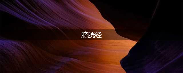 为什么经络不通,要先调膀胱经?（附经络图）(膀胱经)