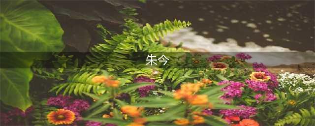 18岁上清华，24岁“铊中毒”差点丢了性命，才女朱今现在过得好吗(朱今)