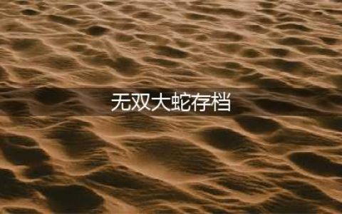 无双大蛇2终极版100%坐骑真武角色全收集通关存档分享(无双大蛇存档)
