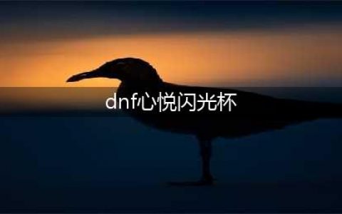 DNF2021心悦闪光杯活动(dnf心悦闪光杯)