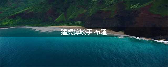 LOL猛虎摔跤手系列皮肤特效 LOL猛虎摔跤手系列皮肤有哪些(猛虎摔跤手 布隆)