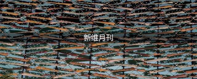 抗日之中国战神孙立人(新维月刊)