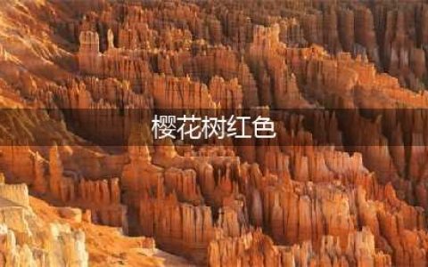 阴阳师樱花树红色哪里多 樱花树红色速刷教程