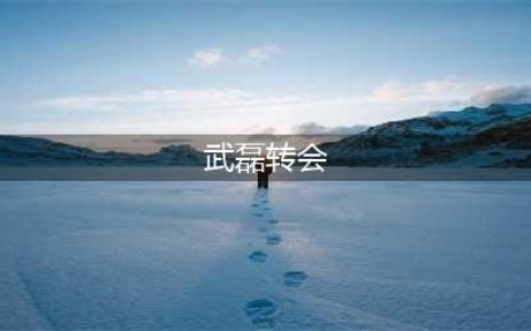 武磊转会又有新进展！中国球王爆发后受青睐，回应球迷最关心问题(武磊转会)