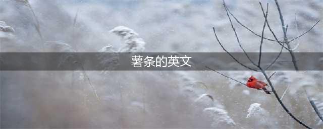 薯条到底是French Fries还是Chips？干货帖解决你西式快餐店点餐尴尬！(薯条的英文)