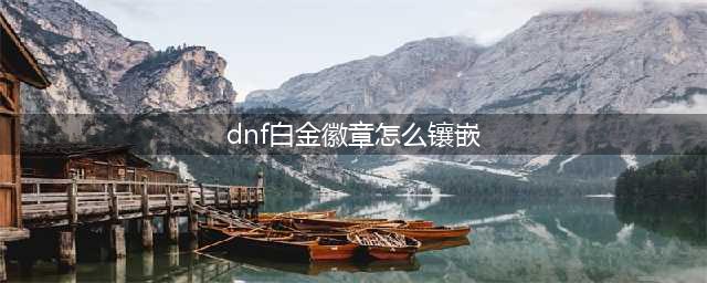 《dnf》白金徽章怎么镶嵌 白金徽章镶嵌教程攻略(dnf白金徽章怎么镶嵌)