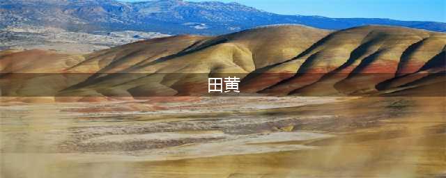 中国嘉德2022拍卖：“石中王”田黄寿山石拍卖征集(田黄)
