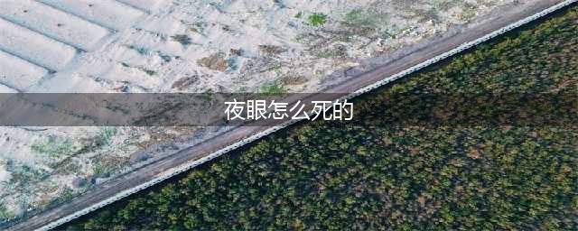 《我的英雄学院》中夜眼为什么会死？其实是作者把他的个性用废了(夜眼怎么死的)