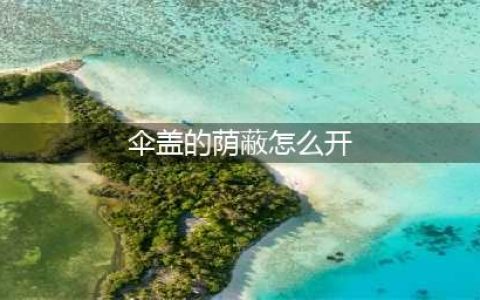 原神伞盖的荫蔽怎么打开 伞盖的荫蔽开启方法