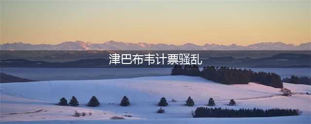 津巴布韦计票骚乱是怎么回事？津巴布韦大选结果是什么？(津巴布韦计票骚乱)