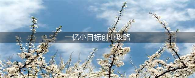 《一亿小目标》73亿资产创业流程攻略详解(一亿小目标创业攻略)