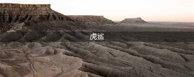 《饥荒海难》虎鲨怎么打 虎鲨打法技巧攻略(虎鲨)