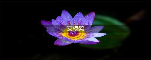 建筑工程规范支模架搭设标准(支模架)