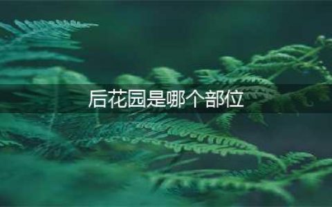 江南百景图后花园在哪 后花园位置介绍