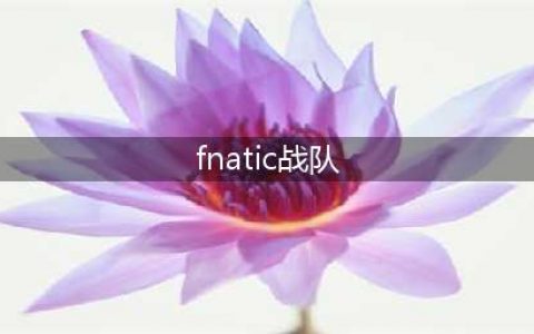 《LOL》S10全球总决赛FNC战队成员名单 FNC参赛人员表一览(fnatic战队)