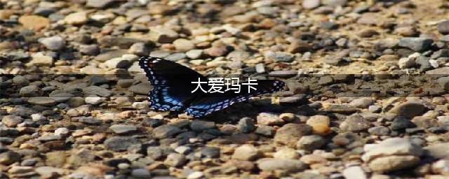 2023-24录取捷报（五十七）：祝贺多位同学获得TOP27新常春藤玛卡莱斯特学院录取OFFER！并获得大额奖学金！！！(大爱玛卡)