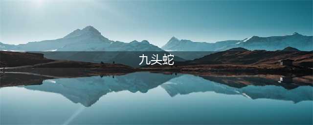 《暗黑破坏神不朽》九头蛇在哪 九头蛇刷新位置及打法攻略(九头蛇)