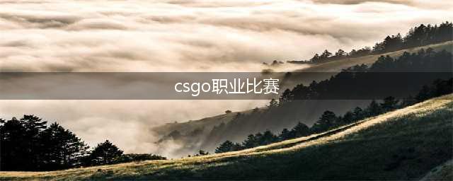CSGO比赛赛事大科普(csgo职业比赛)
