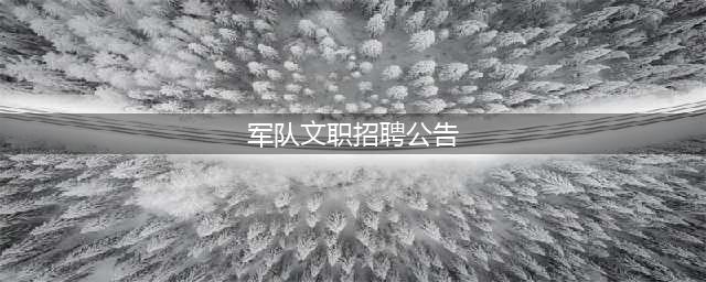 2022年军队文职招聘公告发布(军队文职招聘公告)
