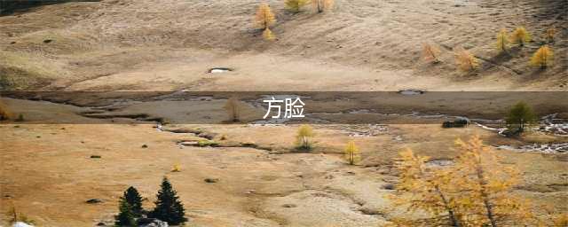 方脸，是最耐看的高级脸(方脸)