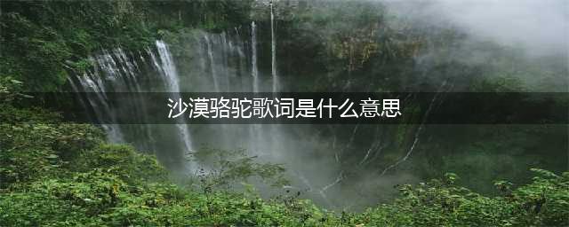 沙漠骆驼歌词是什么意思 抖音完整版视频欣赏(沙漠骆驼歌词是什么意思)