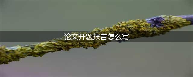 论文开题报告怎么写？（非常详细）(论文开题报告怎么写)