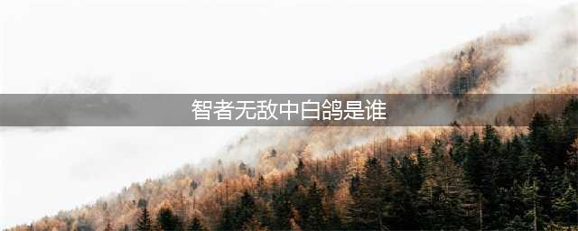 智者无敌的白鸽到底是谁？智者无敌里面的人物都有哪些共同点？(智者无敌中白鸽是谁)