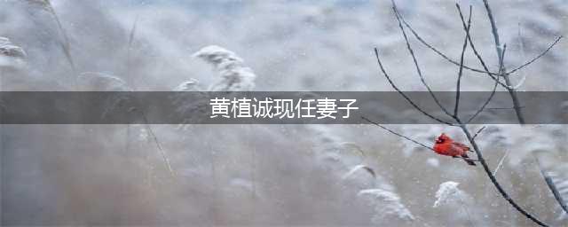 黄植诚驾驶千万战机跑回大陆，获得65万奖金，娶了漂亮空姐老婆，如今怎么样了？(黄植诚现任妻子)