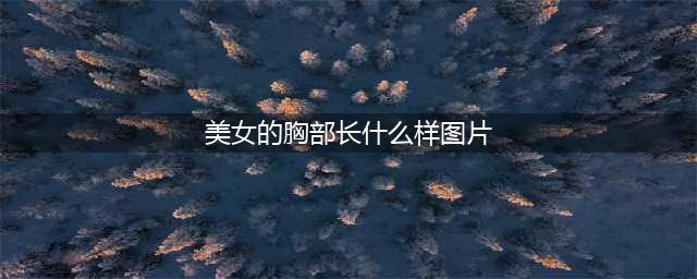 女生胸部最标准的4个形状（男生禁入）(美女的胸部长什么样图片)