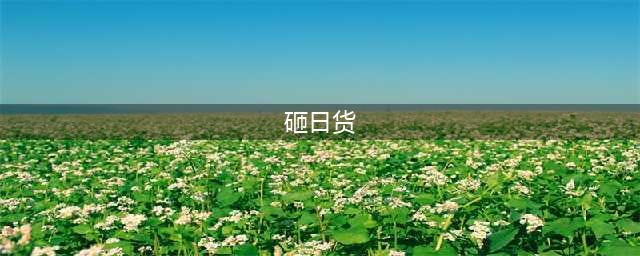 2012年，蔡洋猛砸日系车并重伤车主，赔偿52万，如今出狱了(砸日货)