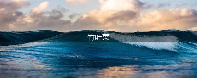 怒江人的一天丨以美味竹叶菜开始(竹叶菜)