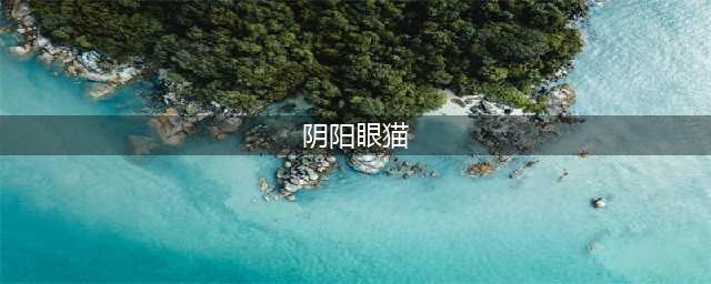 阴阳眼的猫咪，藏有什么秘密？(阴阳眼猫)