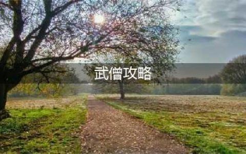 《暗黑破坏神不朽》武僧职业攻略