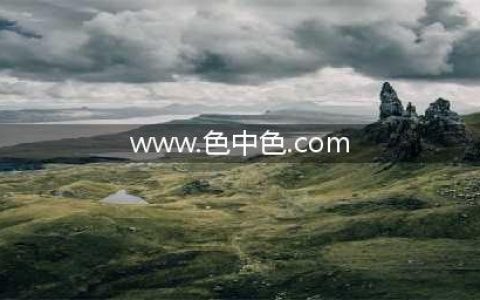 理解色中色=成功用色(www.色中色.com)