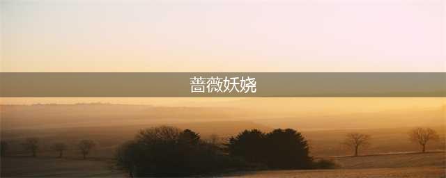高档玫瑰荷花蔷薇，花开粉嫩妖艳，似仙女翩翩起舞，可爱美丽(蔷薇妖娆)