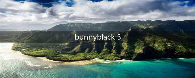 BunnyBlack3怎么玩 通关攻略(bunnyblack 3)