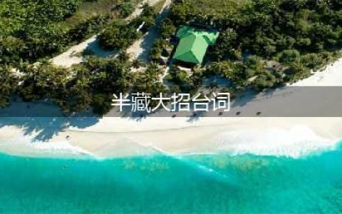 《守望先锋》半藏台词语音 半藏大招台词(半藏大招台词)