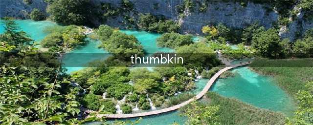 磨耳朵丨Where Is Thumbkin？唱手指童谣，学手指名称(thumbkin)