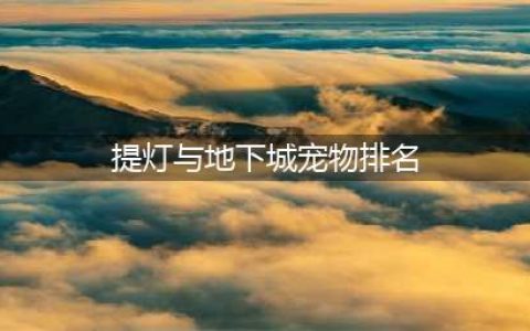《提灯与地下城》宠物排名汇总介绍 什么宠物好(提灯与地下城宠物排名)