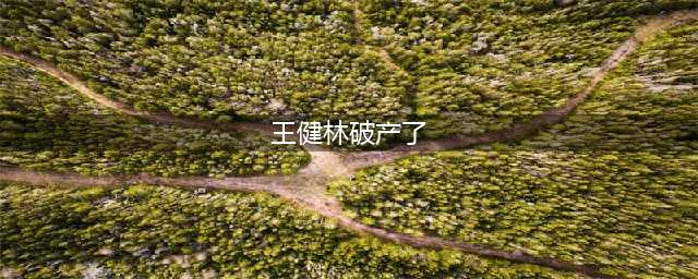 王健林如果宣布破产,下一个一无所有的会是谁？(王健林破产了)