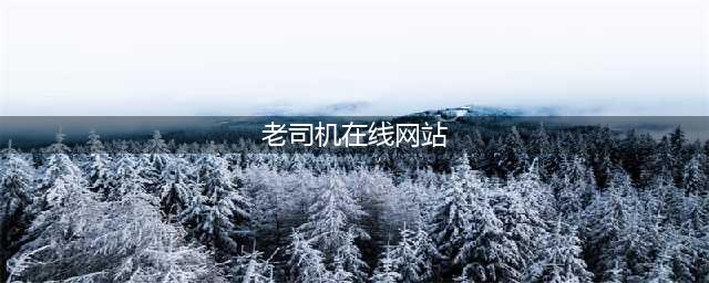 老司机独享：6个在线网站资源必备，收藏起来吧！(老司机在线网站)
