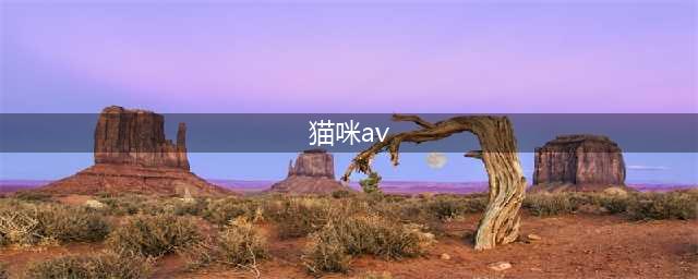 猫のAV横空出世！雅蠛蝶了，这真的会ki莫几吗？(猫咪av)
