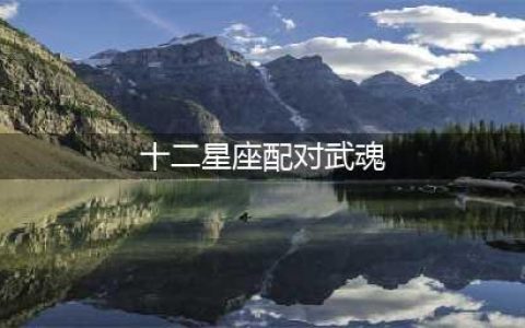 ​中秋大狂欢！星座武魂.十二宫