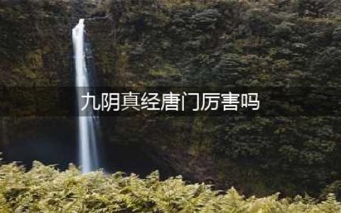 九阴真经唐门镇派武技怎么样 九阴真经唐门镇派武技介绍(九阴真经唐门厉害吗)