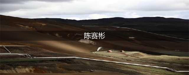 211高校教授陈赛彬，教学生要跪舔国外的他，如今下场让人称快！(陈赛彬)