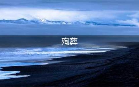 古代最残忍、最恐怖的殉葬场面(殉葬)