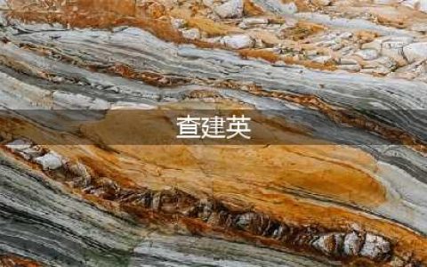 40年，中国女性之光(查建英)