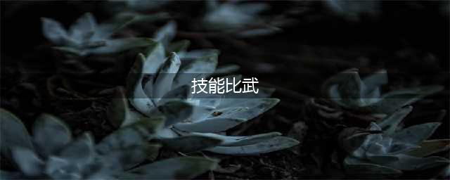技能大比武  岗位展风采(技能比武)